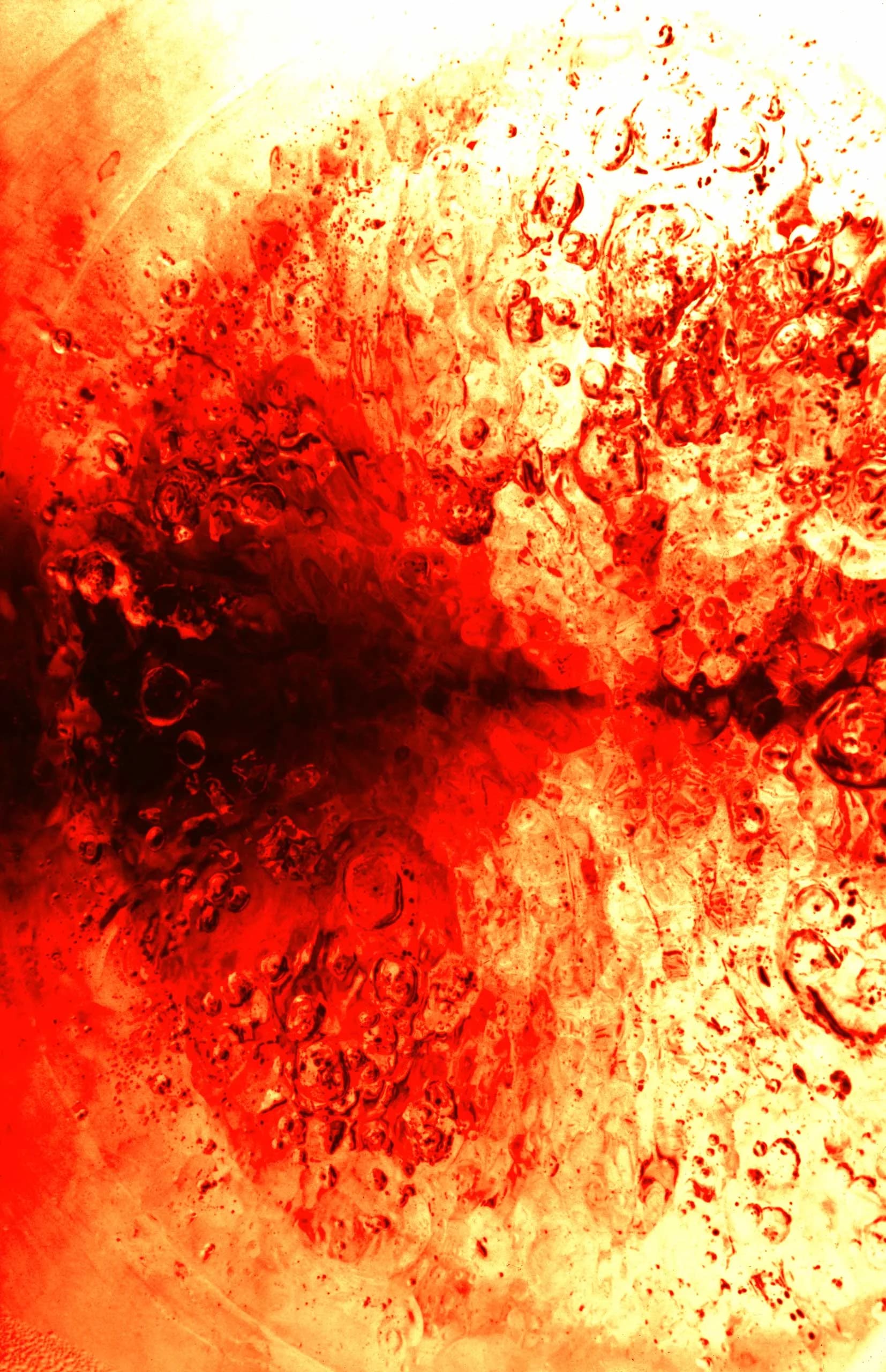 Reininga Art - Ember Field