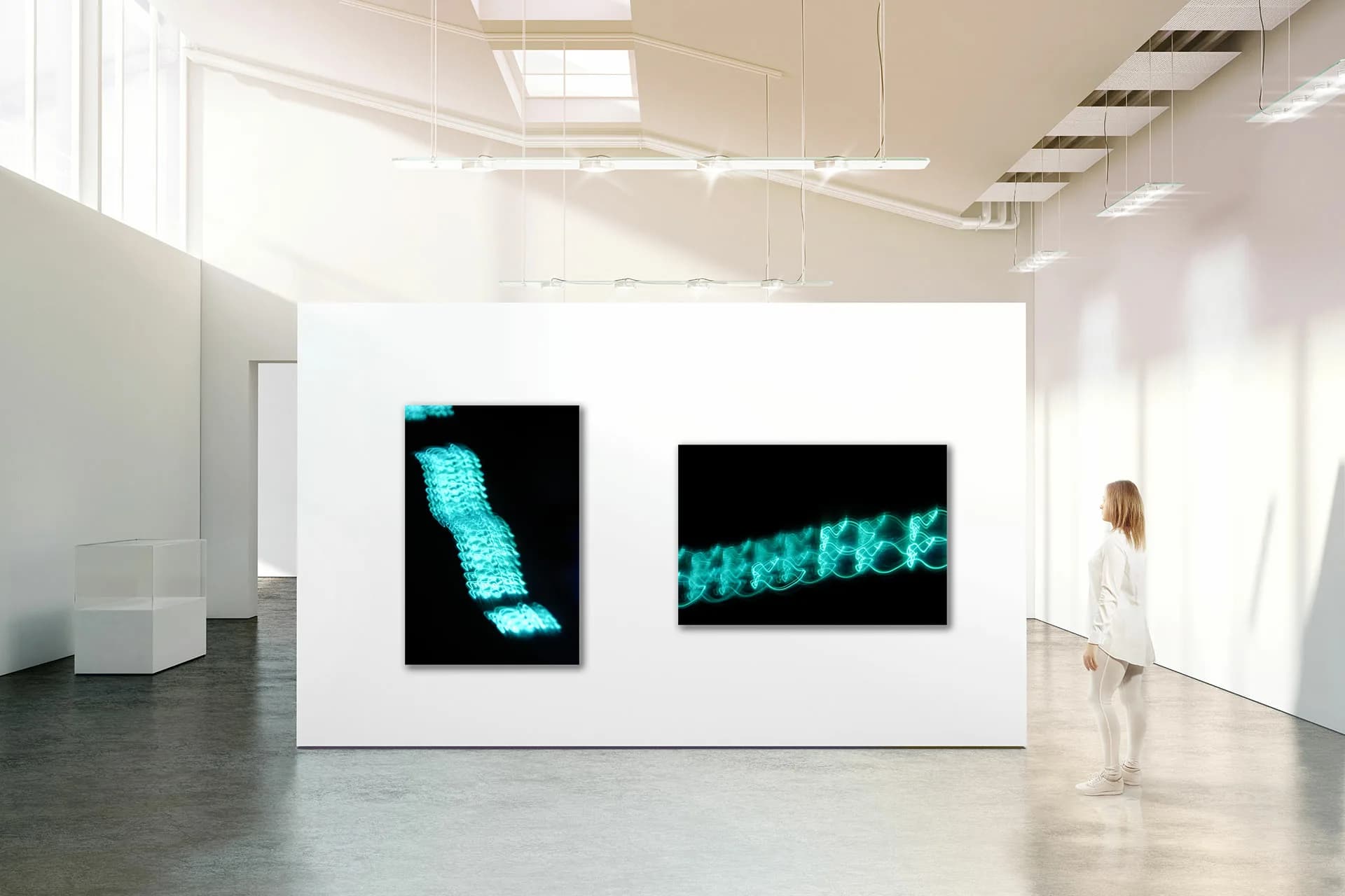 Loop Field